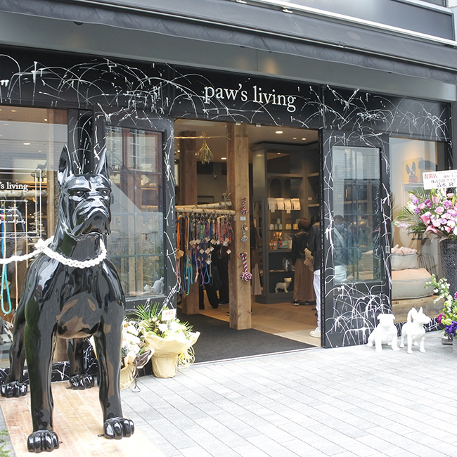 Marine Walk Yokohama店 オープンのお知らせ Paw S Living